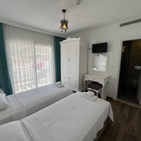 Отель Alesya 3*